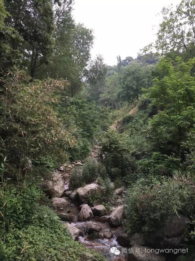 王通：三年前上太白山的照片（多圖）