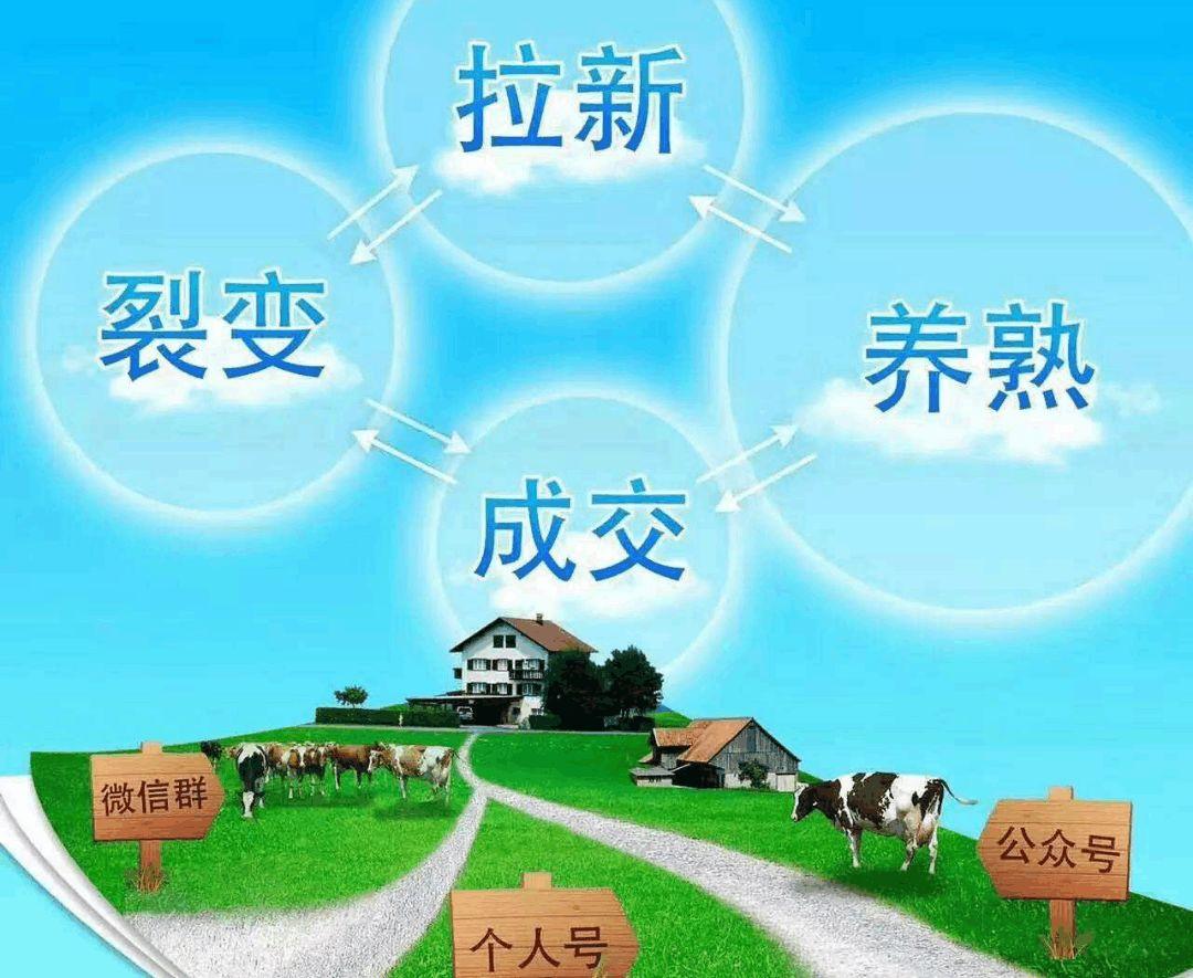賀平臺聚焦拉丁舞鞋這個小領(lǐng)域，用牧場理論做到幾千萬營收